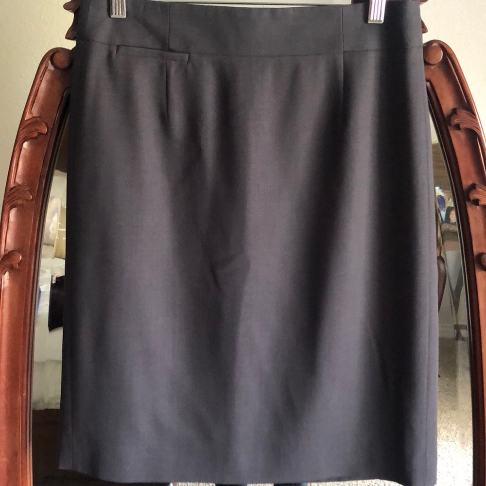 J Crew Skirt